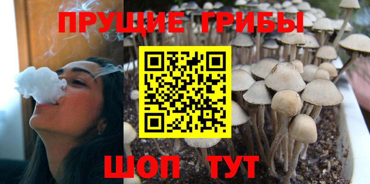 Каменск-Уральский  Псилоцибиновые грибы Psilocybe  Вход с VPN 